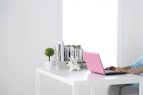 法学需要学什么法律专业