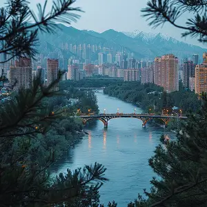 什么人能做法律咨询工作