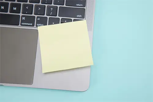 很懂法律的人叫什么名字