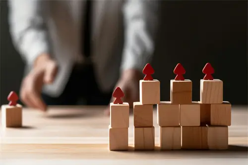 大学生涉及什么法律法规