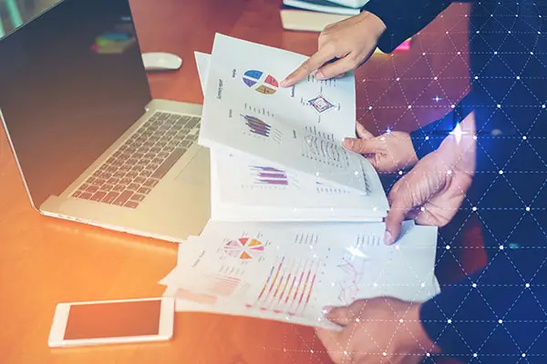 提供在法律上是什么意思